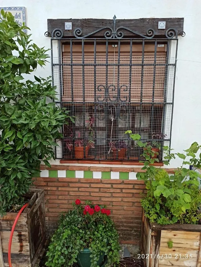 La Casita De Paco Albaicin Apartment Granada